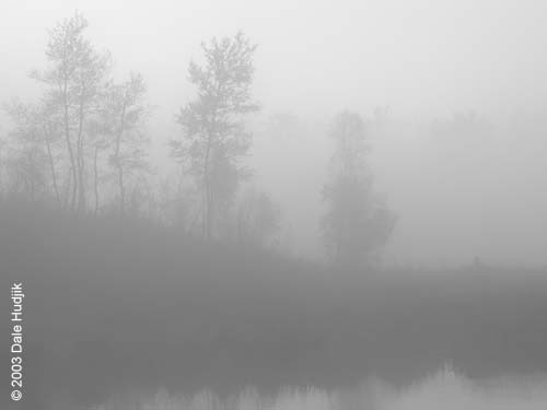 Foggy Landscape Photo