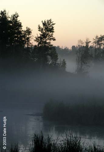 Foggy Landscape Photo