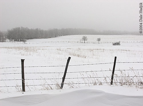 Fence