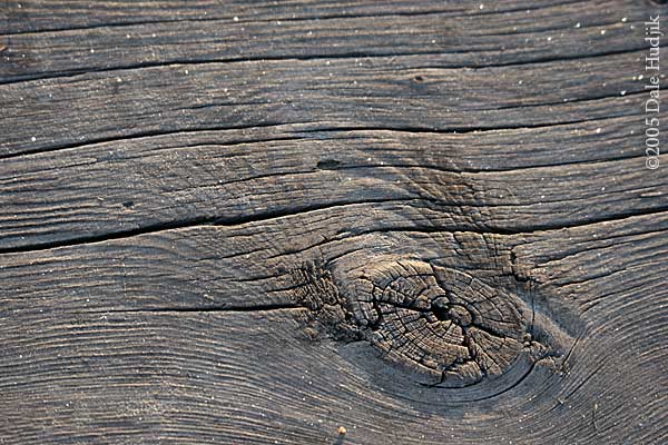 Frosty knot in wood