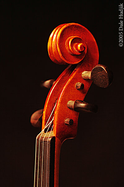 Violin Scroll