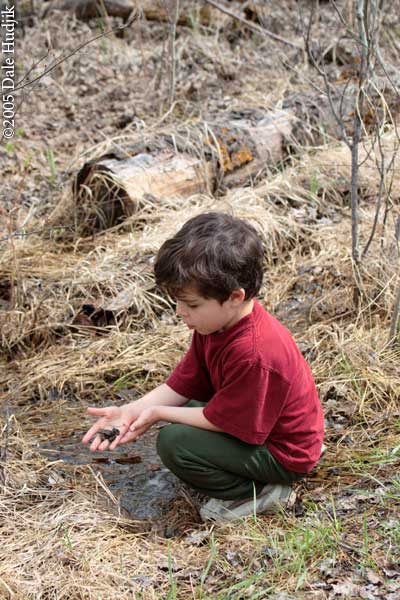 Boy and Frog