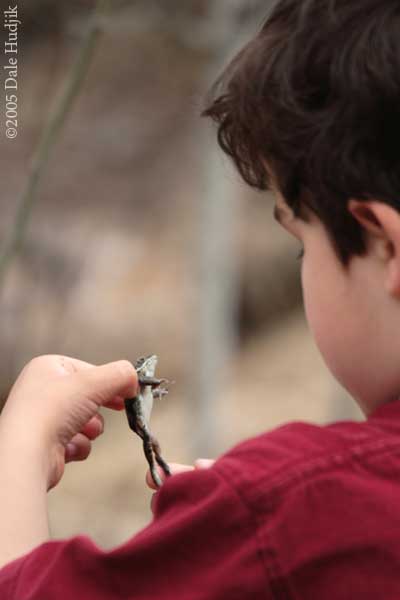 Boy and Frog