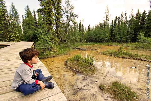 Boy looking at tadpoles