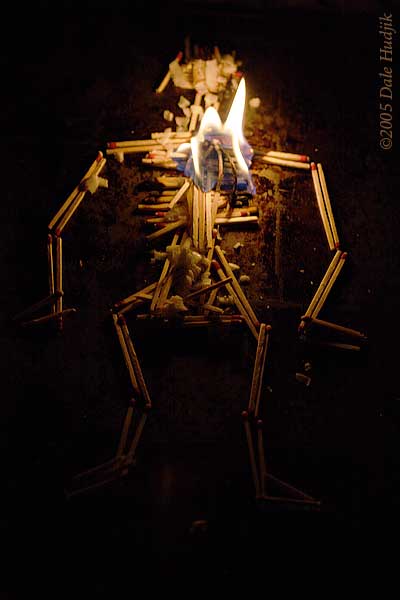 Photo of a Skeleton Burning