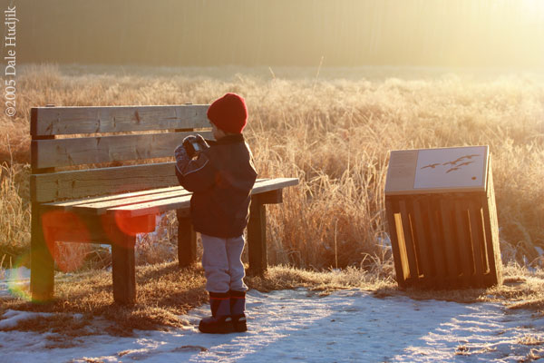 Boy Photographing a Bench