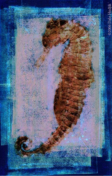 Sea Horse Painting