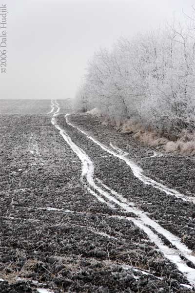 Dirt Path in the Winter