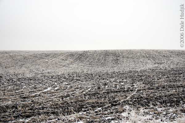 Winter Field