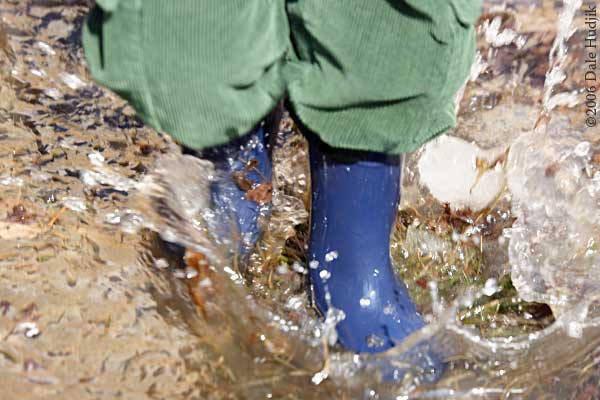 Splashing in Puddle