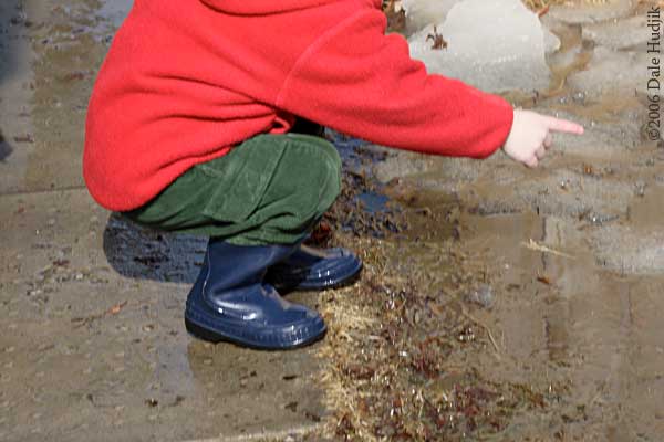 Splashing in Puddle