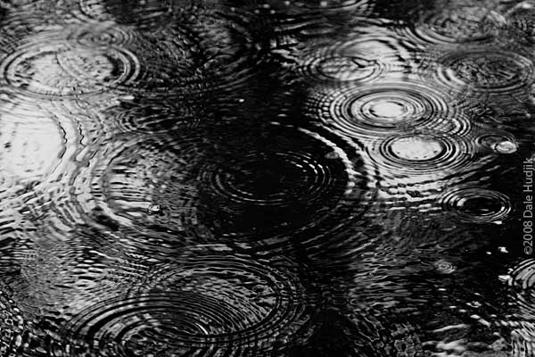 Rain in Puddle